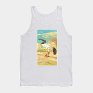 Sacred Ibis Tank Top